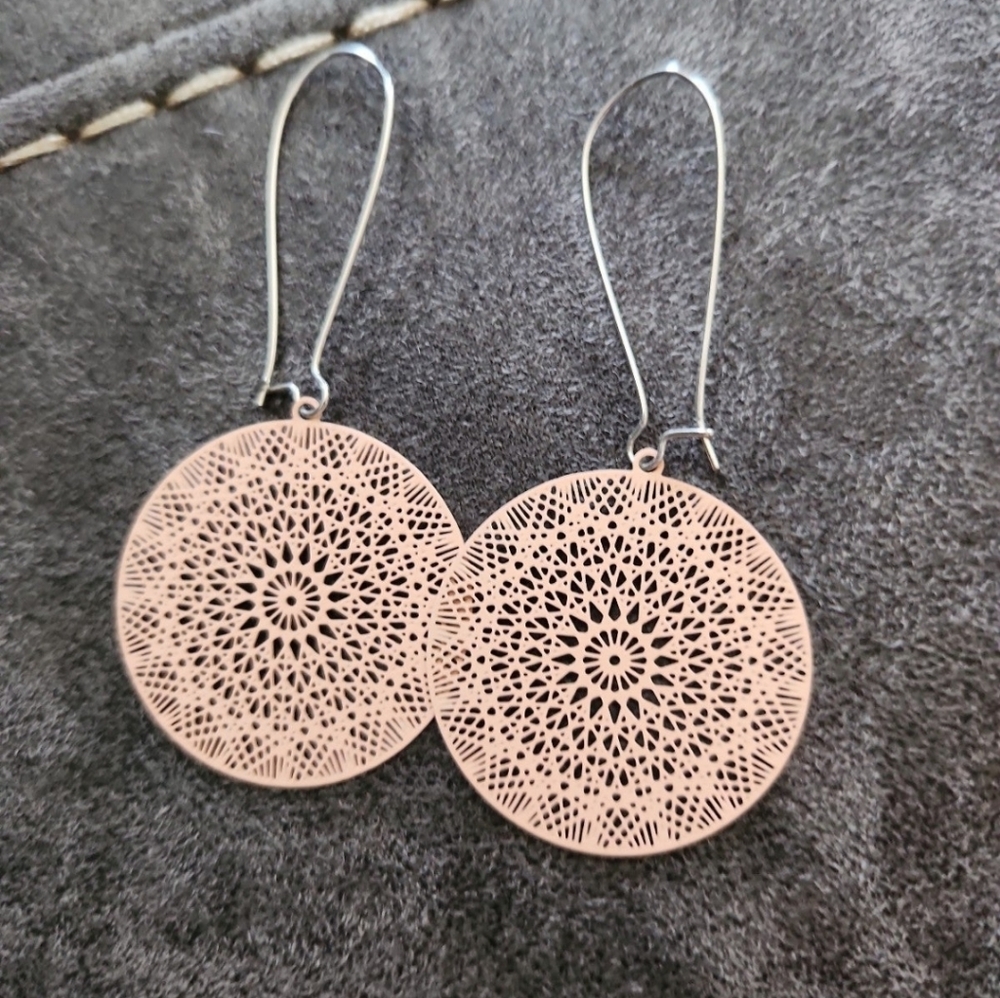 NWOT Plunder Earrings